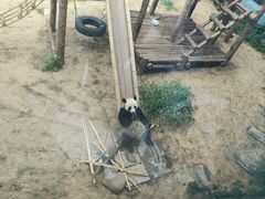 -大连森林动物园