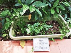 -广州神农草堂中医药博物馆