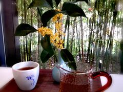 -荷风细雨·中国茶宴(碧云店)