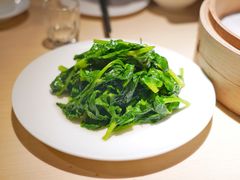 清炒豌豆尖-鼎泰丰(当代商城店)