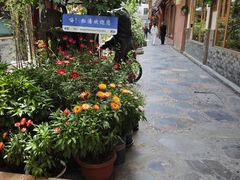 -乳仔牛牦牛汤锅 烤羊排(松潘古城店)