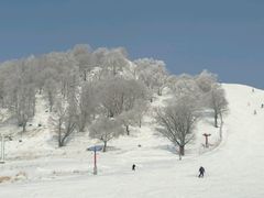 -神鹿雪场