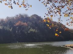 -杭州野生动物世界