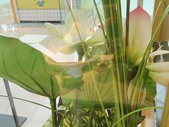 -九孔·筒骨莲藕汤锅(大明宫万达店)