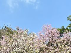 -南沙蒲洲花园