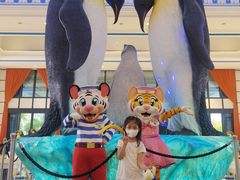 -帝企鹅自助餐厅•儿童岛•真企鹅(长隆企鹅酒店)