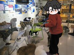 -平行世界·猫咖(首经贸店)
