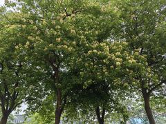 -南丰汇(新港东路店)