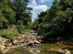 -广州白江湖森林公园