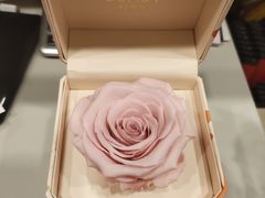 -臻江南影院式足道(雅安店)