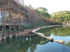 -广州市帽峰山景区