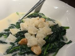 浓汤鱼肚浸时蔬-陶陶居·雅园(凯华国际店)