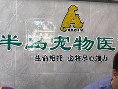 -半岛宠物医院24小时(科华中路店)