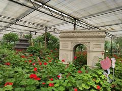 -南宫五洲植物乐园