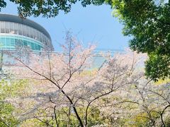 -星海广场(地铁站)