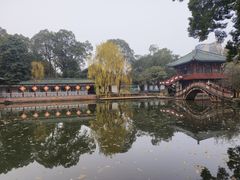 -房湖公园