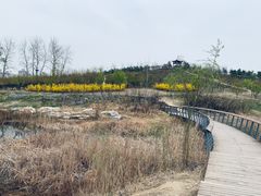 -马家湾湿地公园