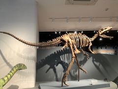 -自贡恐龙博物馆
