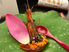 -鳥喜Toriki怀石烧鸟料理