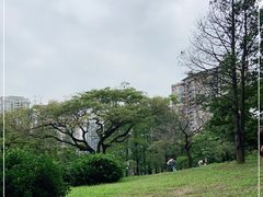 -四海公园(南山区)