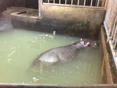 -无锡动物园·太湖欢乐园