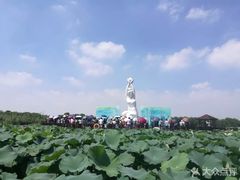 -荷塘月色湿地公园·向阳花洲