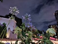 -广州西关永庆坊旅游区