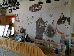 -猫的茶·猫咖
