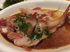 -黄埔华苑酒家(黄埔店)