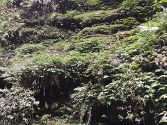 -碧峰峡风景区