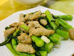 -鸿达渔港