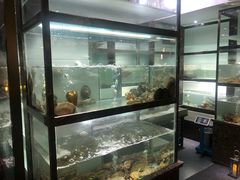 -甄御•海鲜新青岛菜(麦岛店)