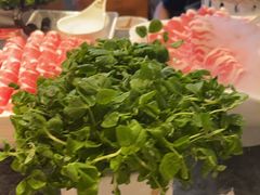 -百草滩羊清水涮羊肉·清真·宁夏盐池滩羊(莲花桥店)