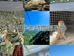 -栾川竹海野生动物园