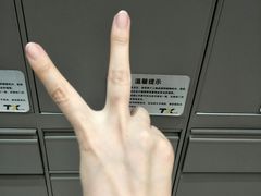 -天行健身＆天行拳馆跆拳道·格斗TXGYM