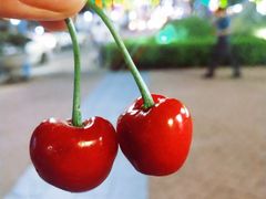 -食代馆(深业上城店)