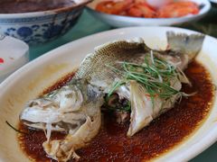清蒸鲈鱼-郑州烤鸭总店
