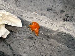 -隐厨·海鲜大排档·地道莱州菜(恒通路店)