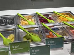-Salud撒露欧洲冻酸奶(北苑上品店)