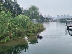 -武汉动物园