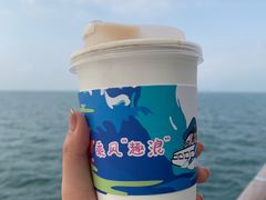 -招商蛇口邮轮母港(观光客运)