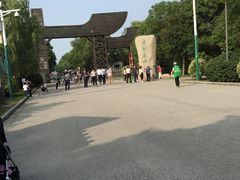 -溱湖国家湿地公园