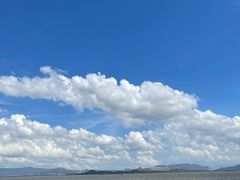 -深圳湾公园(南山区)