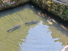 -惠山古镇·寄畅园