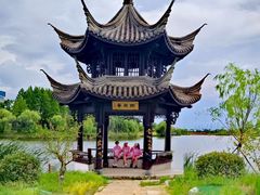 -杭州湾海上花田景区