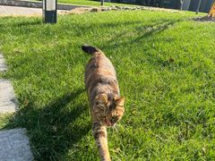 -陆家嘴世纪金融广场