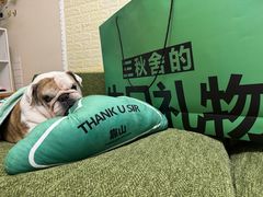-三秋舍·梦幻岛(小西路店)