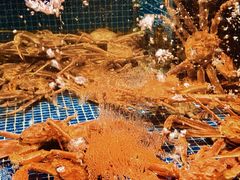 -东海怡品海鲜豆捞(星街坊店)