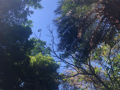 -广州市白云山风景名胜区