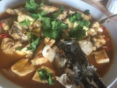 -煲来饱去冷水鱼